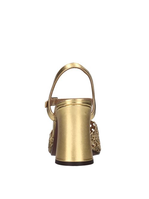  CHIE MIHARA | PAUSA CITROENORO